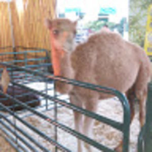 Meet your Posher, Cathleen